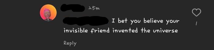 instagram comment that says i bet you think your invisible friend invented the universe