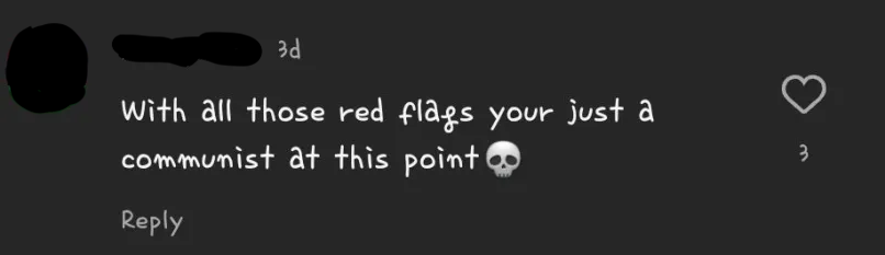 instagram comment that says with all those red flags your just a communist at this point with a skull emoji